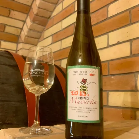 Csobanczi Mucurka Vendeghaz Appartamento